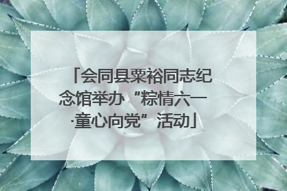 会同县粟裕同志纪念馆举办“粽情六一·童心向党”活动