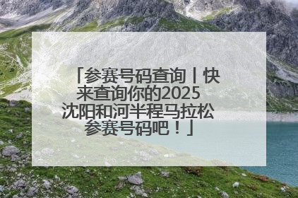 参赛号码查询丨快来查询你的2025沈阳和河半程马拉松参赛号码吧！