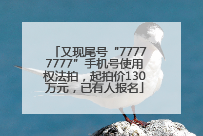 又现尾号“77777777”手机号使用权法拍，起拍价130万元，已有人报名