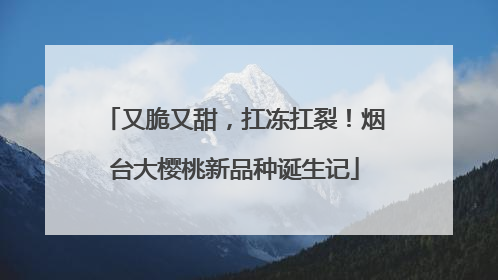 又脆又甜，扛冻扛裂！烟台大樱桃新品种诞生记