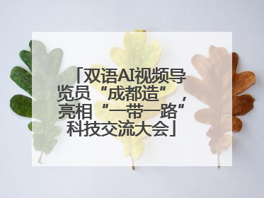 双语AI视频导览员“成都造”，亮相“一带一路”科技交流大会