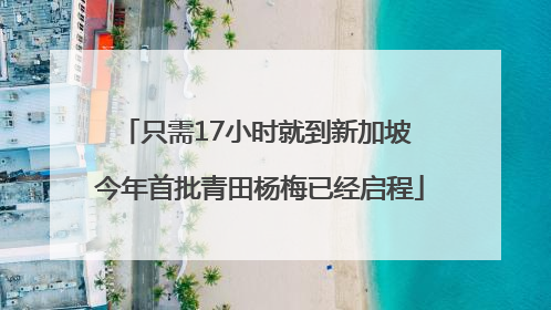 只需17小时就到新加坡 今年首批青田杨梅已经启程