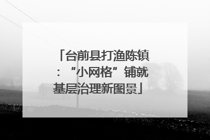 台前县打渔陈镇：“小网格”铺就基层治理新图景
