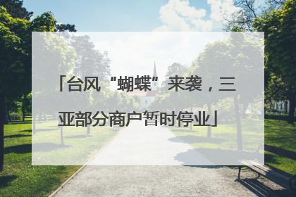 台风“蝴蝶”来袭，三亚部分商户暂时停业