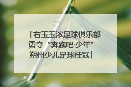 右玉玉浓足球俱乐部勇夺“奔跑吧·少年”朔州少儿足球桂冠