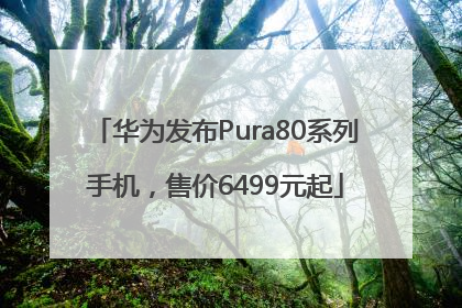 华为发布Pura80系列手机，售价6499元起