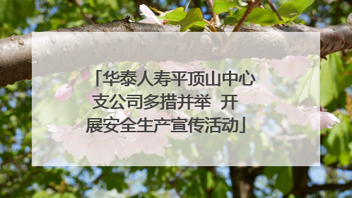 华泰人寿平顶山中心支公司多措并举  开展安全生产宣传活动