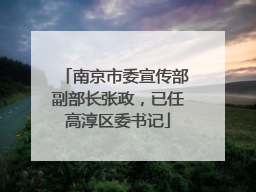 南京市委宣传部副部长张政，已任高淳区委书记