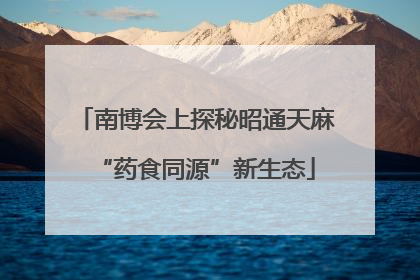 南博会上探秘昭通天麻“药食同源”新生态