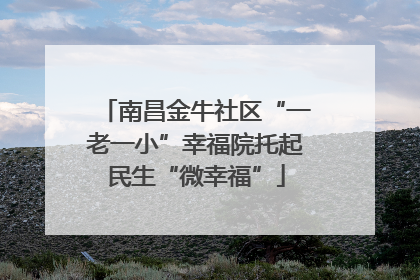 南昌金牛社区“一老一小”幸福院托起民生“微幸福”