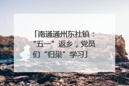 南通通州东社镇：“五一”返乡，党员们“归巢”学习