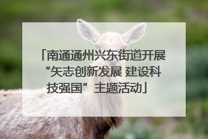 南通通州兴东街道开展“矢志创新发展 建设科技强国”主题活动