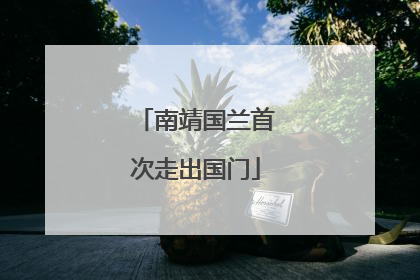 南靖国兰首次走出国门