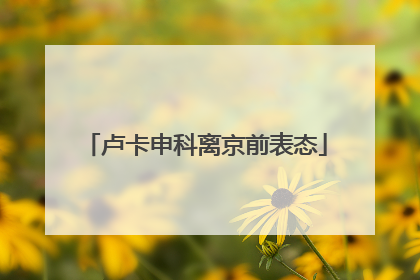 卢卡申科离京前表态