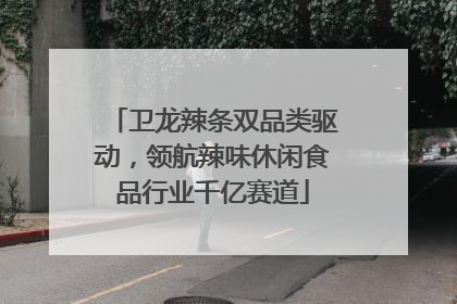 卫龙辣条双品类驱动，领航辣味休闲食品行业千亿赛道