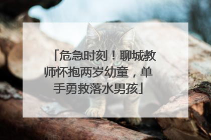 危急时刻！聊城教师怀抱两岁幼童，单手勇救落水男孩