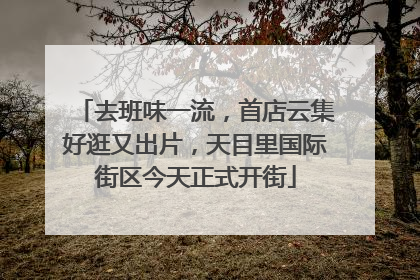 去班味一流，首店云集好逛又出片，天目里国际街区今天正式开街