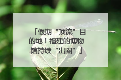 假期“顶流”目的地！福建的博物馆持续“出圈”