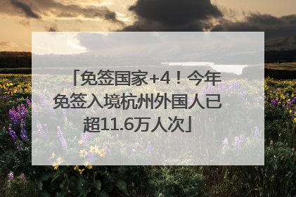 免签国家+4！今年免签入境杭州外国人已超11.6万人次