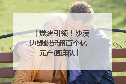 党建引领！沙漠边缘崛起超百个亿元产值连队