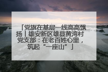 党旗在基层一线高高飘扬丨雄安新区雄县黄湾村党支部：在老百姓心里，筑起“一座山”