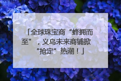 全球珠宝商“蜂拥而至”，义乌未来商铺掀“抢定”热潮！
