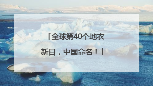 全球第40个地衣新目，中国命名！