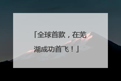 全球首款，在芜湖成功首飞！