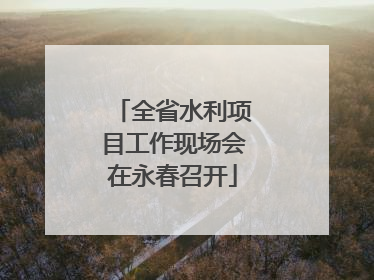 全省水利项目工作现场会在永春召开