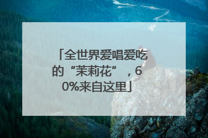 全世界爱唱爱吃的“茉莉花”，60%来自这里