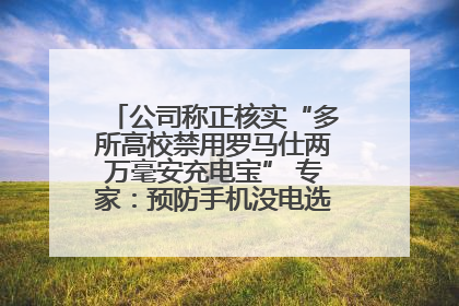 公司称正核实“多所高校禁用罗马仕两万毫安充电宝” 专家：预防手机没电选中等体积产品即可