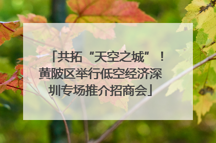 共拓“天空之城”！黄陂区举行低空经济深圳专场推介招商会
