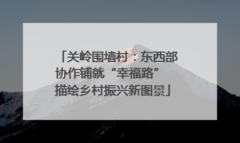 关岭围墙村：东西部协作铺就“幸福路” 描绘乡村振兴新图景