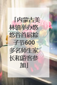 内蒙古美林镇举办悠悠谷首届粽子节600多名师生家长和游客参加