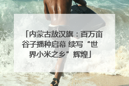 内蒙古敖汉旗：百万亩谷子播种启幕 续写“世界小米之乡”辉煌