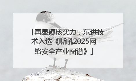 再显硬核实力，东进技术入选《嘶吼2025网络安全产业图谱》