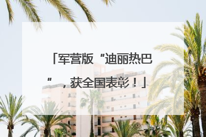 军营版“迪丽热巴”，获全国表彰！