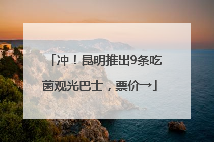 冲！昆明推出9条吃菌观光巴士，票价→