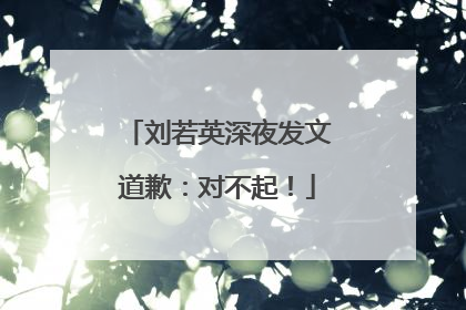 刘若英深夜发文道歉：对不起！
