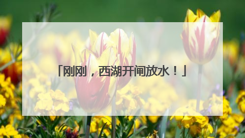 刚刚，西湖开闸放水！