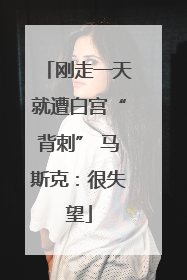 刚走一天就遭白宫“背刺” 马斯克：很失望