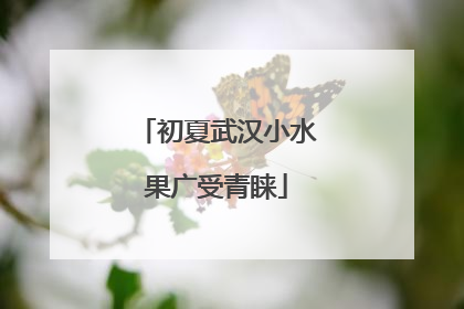 初夏武汉小水果广受青睐