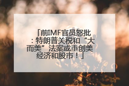 前IMF官员怒批：特朗普关税和“大而美”法案或重创美经济和股市！