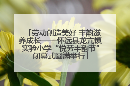 劳动创造美好 丰韵滋养成长——怀远县龙亢镇实验小学“悦劳丰韵节”闭幕式圆满举行