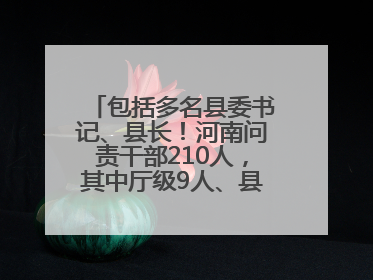 包括多名县委书记、县长！河南问责干部210人，其中厅级9人、县处级71人