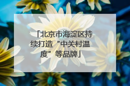 北京市海淀区持续打造“中关村温度”等品牌