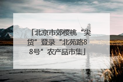 北京市郊樱桃“尖货”登录“北苑路88号”农产品市集