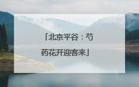 北京平谷：芍药花开迎客来