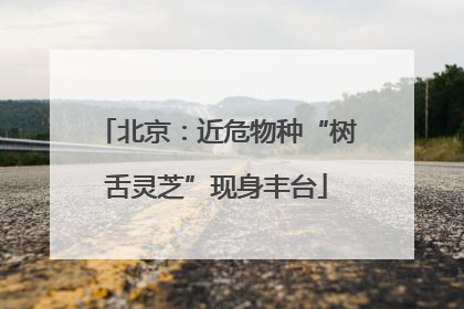 北京：近危物种“树舌灵芝”现身丰台