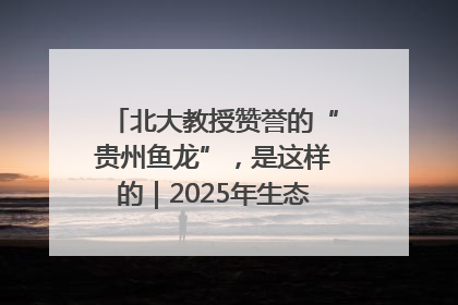 北大教授赞誉的“贵州鱼龙”，是这样的｜2025年生态文明贵阳国际论坛
